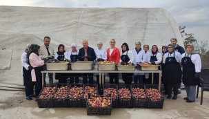 YÖRESELDEN ULUSALA, İSTİHDAMDAN MARKALAŞMAYA…