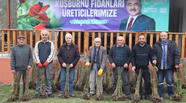 DAĞLARDAN GELEN LEZZET ÜRETİM KÜLTÜRÜNE GİRDİ