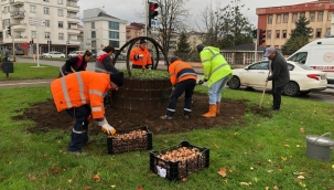 MEVSİMLİK ÇİÇEKLER TOPRAKLA BULUŞUYOR