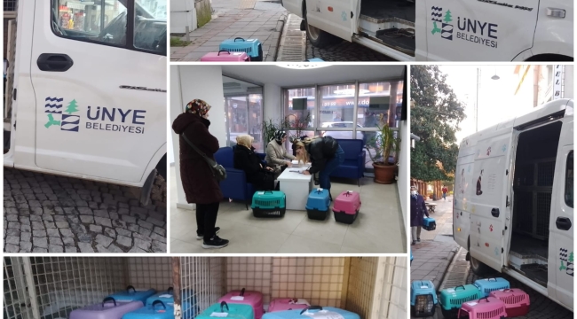 ÜNYE BELEDİYESİ'NDEN SOKAK KEDİLERİNE KISIRLAŞTIRMA DESTEĞİ