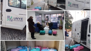 ÜNYE BELEDİYESİ'NDEN SOKAK KEDİLERİNE KISIRLAŞTIRMA DESTEĞİ