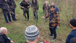 ÇAYBAŞI'NDA FINDIK ÜRETİCİLERİNE EĞİTİM