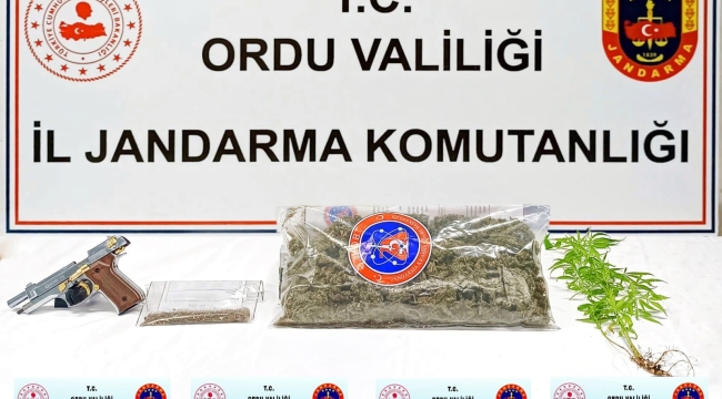 JANDARMA'DAN FATSA'DA UYUŞTURUCU OPERASYONU