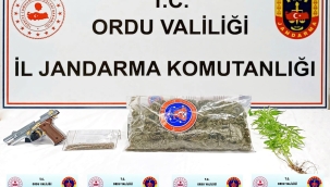 JANDARMA'DAN FATSA'DA UYUŞTURUCU OPERASYONU