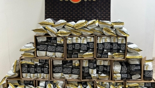 ORDU'DA 17 ŞÜPHELİ ŞAHIS TUTUKLANDI