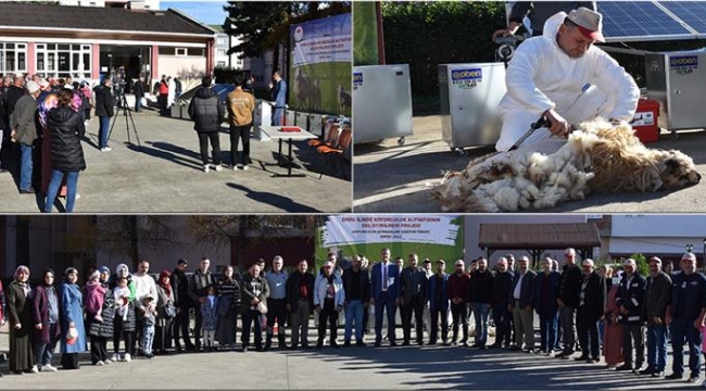 ORDU İL TARIM MÜDÜRÜ YILMAZ: "KÜÇÜKBAŞ HAYVANCILIK BİZLERE ÖNEMLİ AVANTAJ SAĞLIYOR"