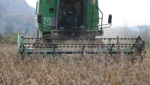 TARIMDA ORDU MODELİ