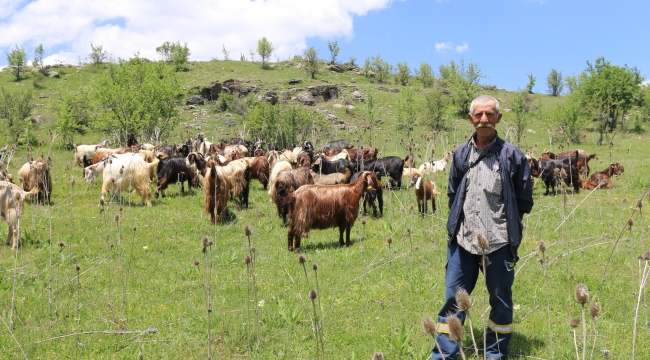 TARIM VE HAYVANCILIK PROJELERİNDEN 52 BİN 359 ÜRETİCİ YARARLANDI 