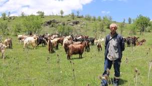 TARIM VE HAYVANCILIK PROJELERİNDEN 52 BİN 359 ÜRETİCİ YARARLANDI