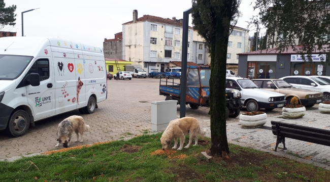 ÜNYE BELEDİYESİ'NDEN SOKAK HAYVANLARINA YENİ BARINAKLAR