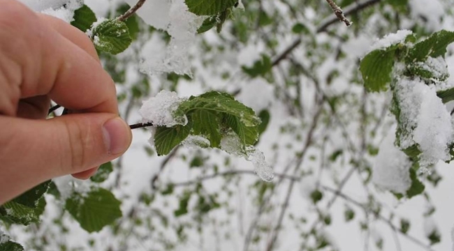 METEOROLOJİ'NDEN DON UYARISI