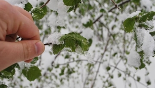 METEOROLOJİ'NDEN DON UYARISI