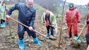 ORMANCILIK GÜNÜ'NDE FİDANLAR TOPRAKLA BULUŞTU