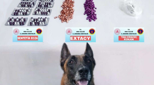 ÜNYE'DE KOKAİN VE EXTACYDEN BİR KİŞİ TUTUKLANDI