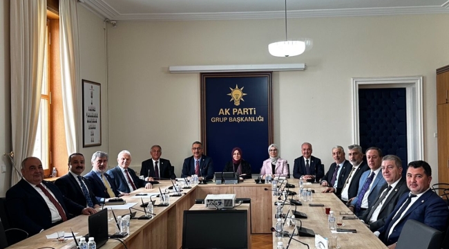 TBMM'NDE FINDIK VE KOKARCA TOPLANTISI