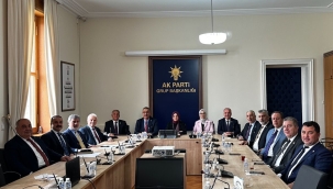 TBMM'NDE FINDIK VE KOKARCA TOPLANTISI