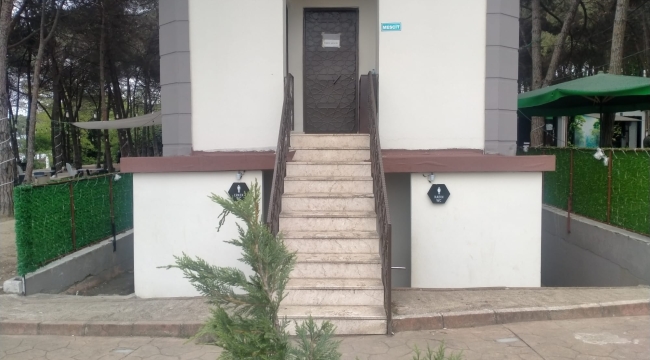 ÜNYE ÇAMLIĞI KADERİNE Mİ TERK EDİLDİ?