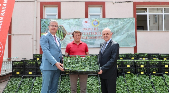 ÜRETİCİLERE HIYAR FİDESİ DAĞITILDI