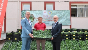 ÜRETİCİLERE HIYAR FİDESİ DAĞITILDI