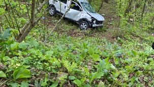 VİRAJI ALAMAYAN TİCARİ ARAÇ FINDIK BAHÇESİNE UÇTU