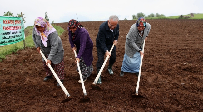AKKUŞ ŞEKER FASULYESİ MARKA OLMA YOLUNDA