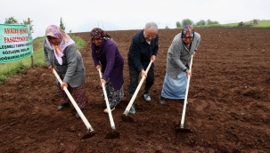 AKKUŞ ŞEKER FASULYESİ MARKA OLMA YOLUNDA