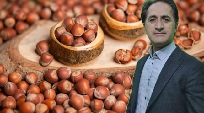 BAŞKAN SOBİ'DEN "ALTIN FINDIK FESTİVALİ" ÖNERİSİ