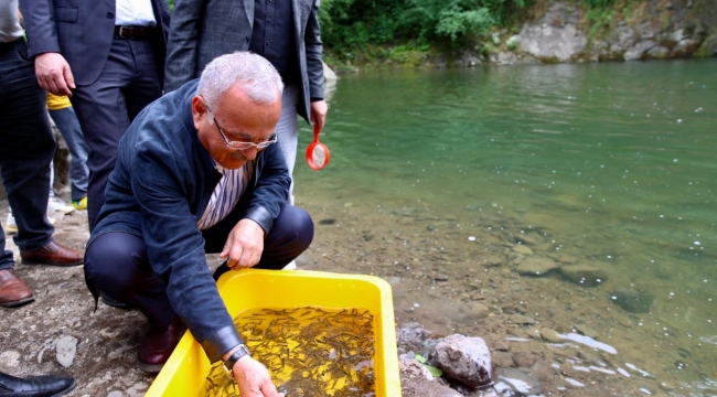 ÇAYBAŞI CURİ DERESİ'NE 5 BİN KIRMIZI BENEKLİ ALABALIK SALINDI