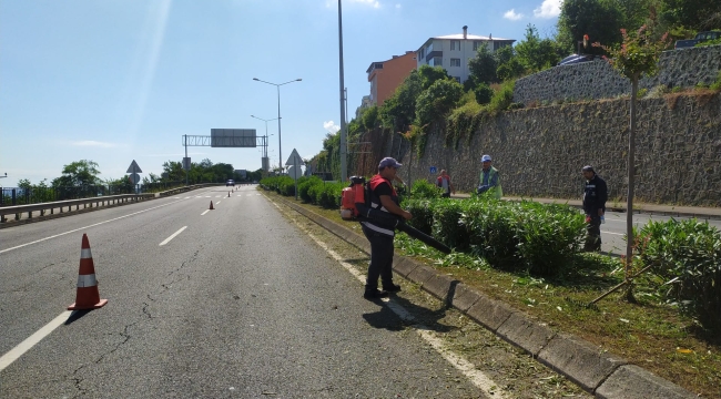 GÜLYALI'DAN ÜNYE AKÇAY'A KADAR TEMİZLİK SEFERBERLİĞİ