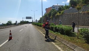 GÜLYALI'DAN ÜNYE AKÇAY'A KADAR TEMİZLİK SEFERBERLİĞİ