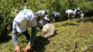 O PROJEDE BAŞVURULAR BAŞLIYOR