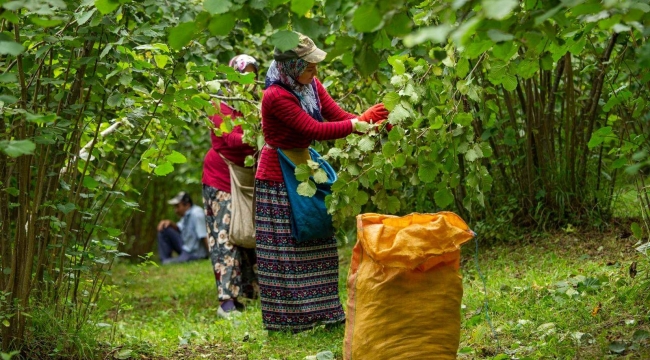 ORDU'NUN PARASI ORDU'DA KALIYOR