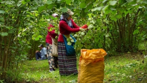 ORDU'NUN PARASI ORDU'DA KALIYOR
