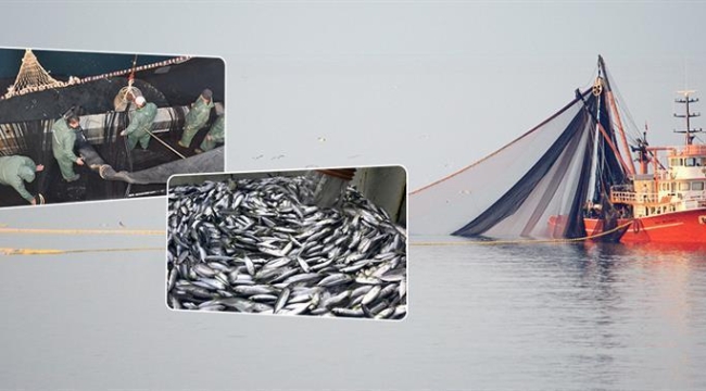 BALIKÇILIK SEZONU 1 EYLÜL'DE BAŞLIYOR