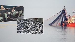 BALIKÇILIK SEZONU 1 EYLÜL'DE BAŞLIYOR