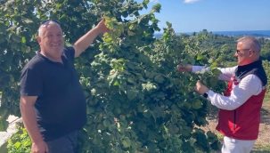 İLÇE TARIM VE ORMAN MÜDÜRÜ YILDIRIM'DAN ÖRNEK ÜRETİCİYE ZİYARET