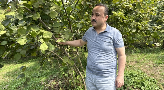 MİLLETVEKİLİ ŞANLITÜRK, ADRES OLARAK TMO'YU GÖSTERDİ