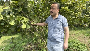 MİLLETVEKİLİ ŞANLITÜRK, ADRES OLARAK TMO'YU GÖSTERDİ