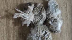 ORDU'DA SON BİR HAFTADA 28 NARKOTİK OPERASYON