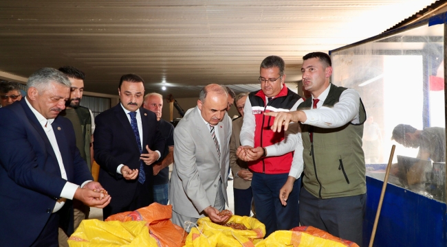 TMO FINDIK ALIMINA BAŞLADI