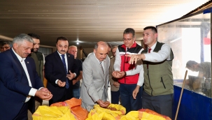 TMO FINDIK ALIMINA BAŞLADI