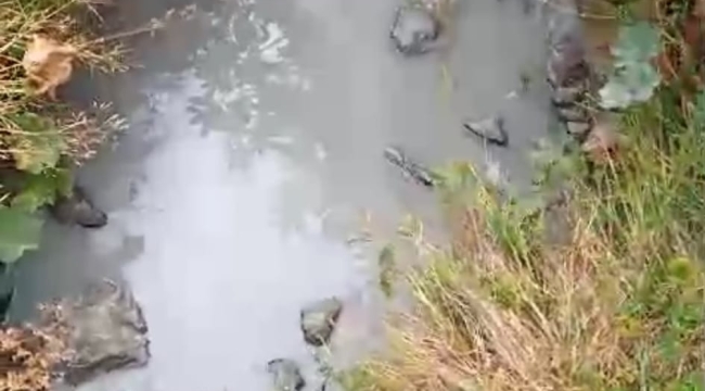 KORGAN'DA KİRLİ SULAR DEREYE BIRAKILIYOR