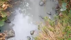 KORGAN'DA KİRLİ SULAR DEREYE BIRAKILIYOR