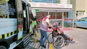 ORDU'NUN ÇINARLARI BÜYÜKŞEHİRE EMANET