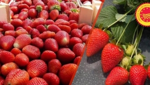 TÜRKİYE'NİN AB COĞRAFİ İŞARETLİ ÜRÜN SAYISI 25'E YÜKSELDİ