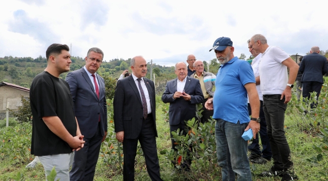 Vali Erol, Aronya Üreticisini Ziyaret Etti