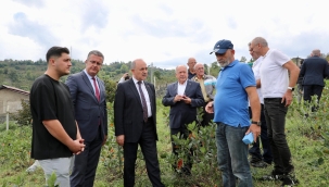 Vali Erol, Aronya Üreticisini Ziyaret Etti