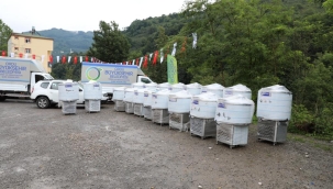 ORDU'DA SÜTÜN DEĞERİ ARTTI