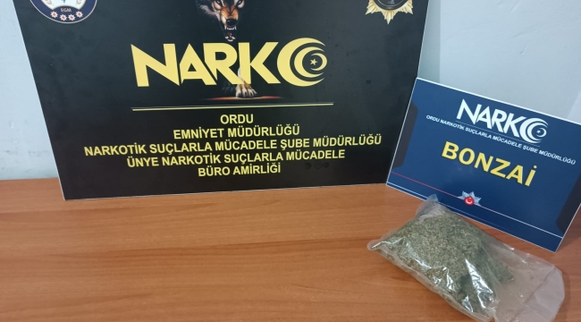 ORDU'DA "UYUŞTURUCU TİCARETİNE" 2 TUTUKLAMA