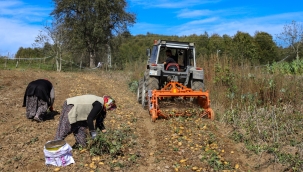 ÜRETİMDE ORDU MODELİ